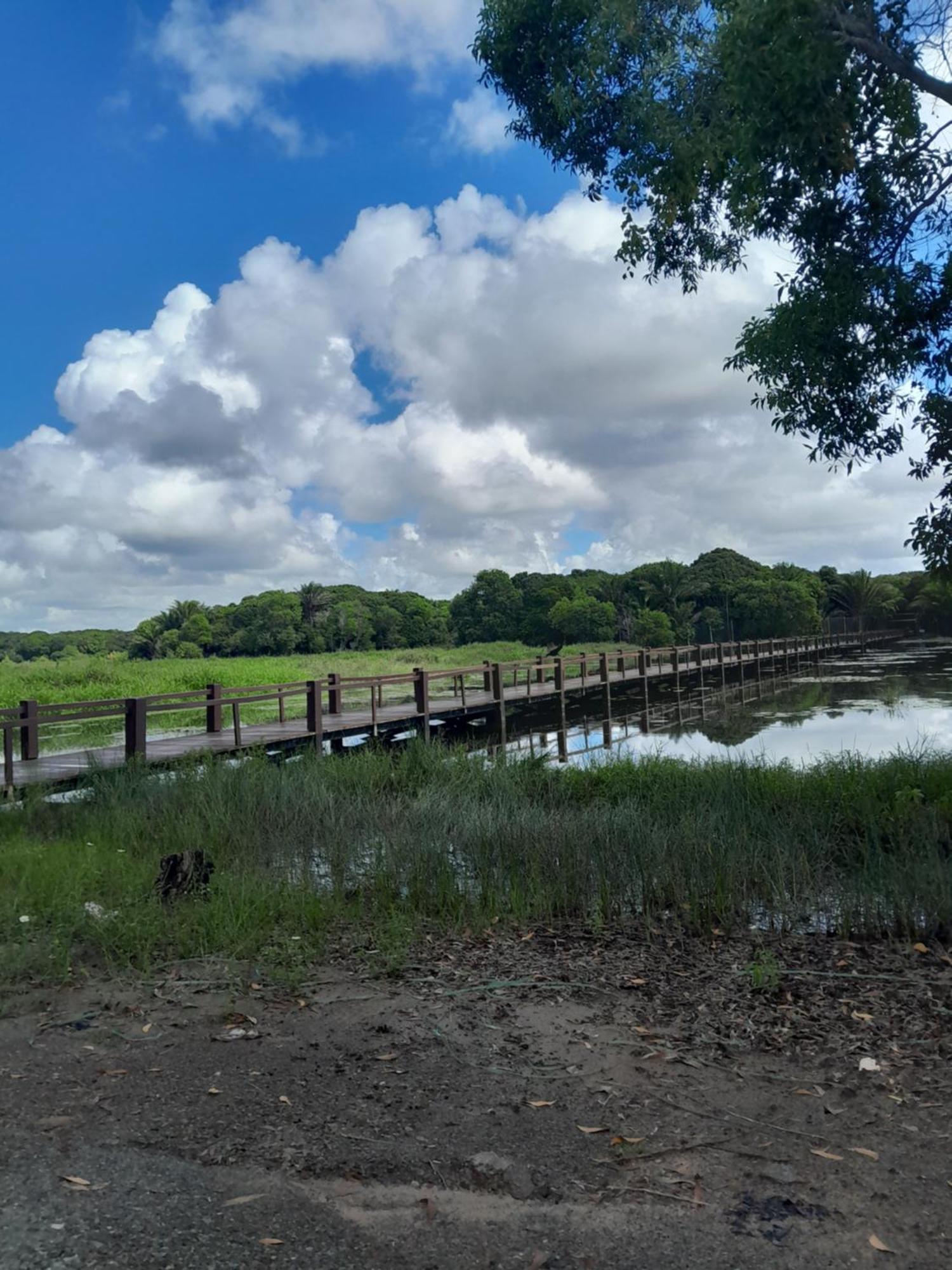 Village Em Itacimirim Lindo, Novo E Tranquilo A 400 M Da Praia Da Espera Esterno foto